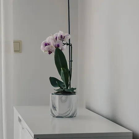 Apartment Valentina *