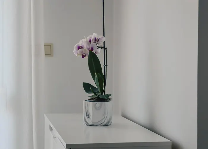 Apartamento Valentina *
